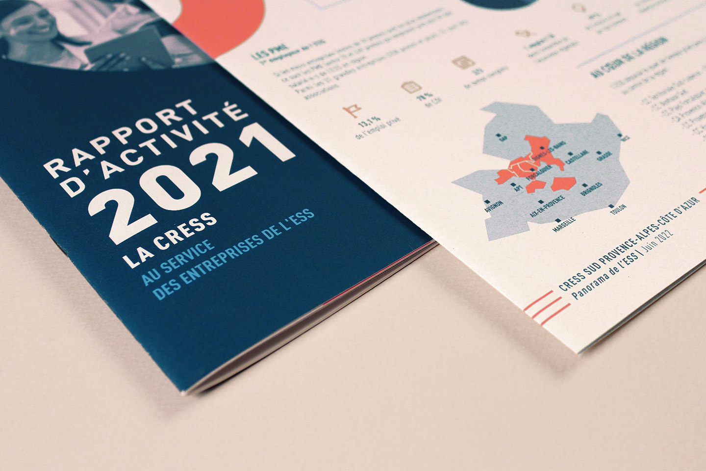 rapport-panorama-zoom_CRESS