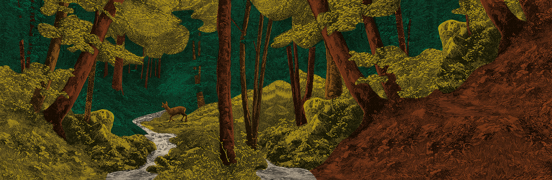 Habillage-foret